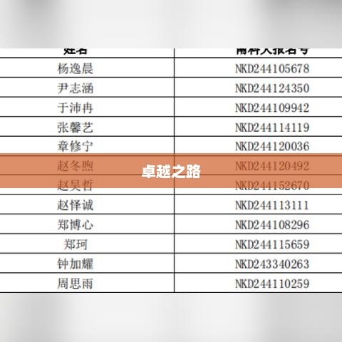 北京二十中2024高考成绩，卓越之路，展望未来成就辉煌之路
