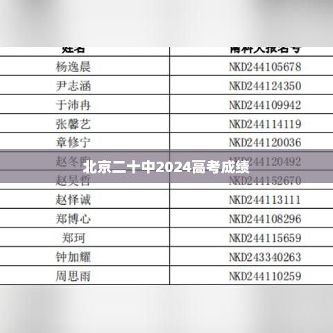 北京二十中2024高考成绩，卓越之路，未来展望之路