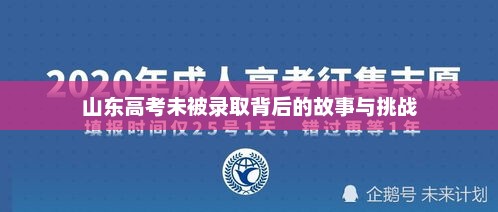 山东高考未被录取背后的故事与挑战