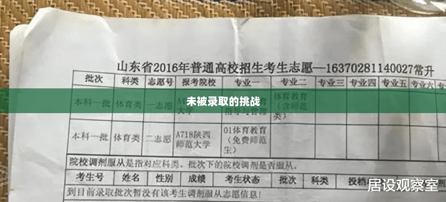 山东高考未被录取背后的故事与挑战