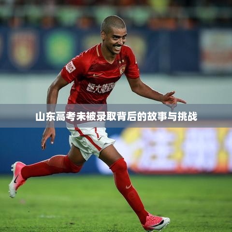 山东高考未被录取背后的故事与挑战