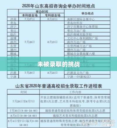 山东高考未被录取背后的故事与挑战
