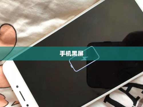 解决手机黑屏的有效攻略