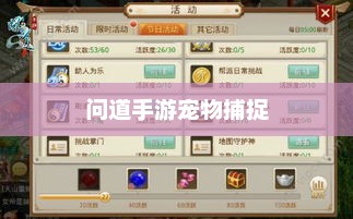 问道手游宠物捕捉全攻略，手把手教你捕捉心仪宠物