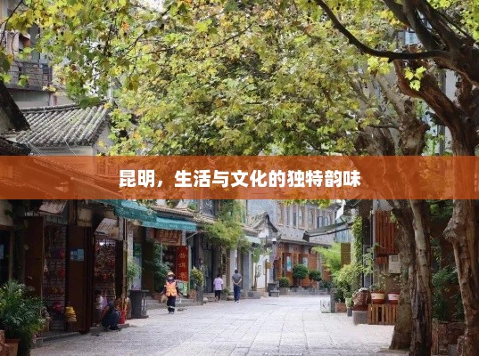 昆明，生活与文化的独特韵味