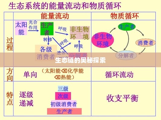 自然界的天敌，生态平衡与生态链的奥秘探索
