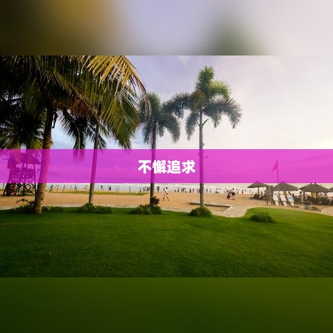 美丽永恒，不懈追求的魅力之旅