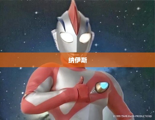 纳伊斯，卓越之路的探索