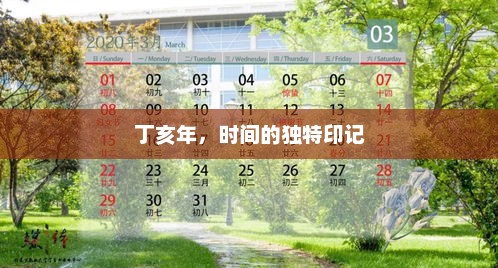 丁亥年，时间的独特印记