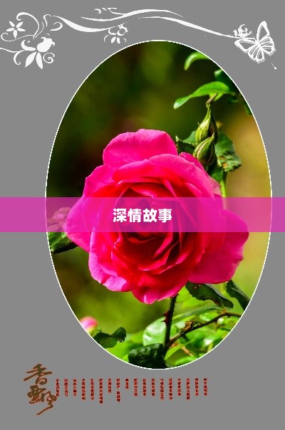 情爱之花的绽放与凋零，深情故事一瞥
