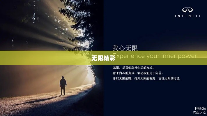 天天泡，探索生活的无限精彩