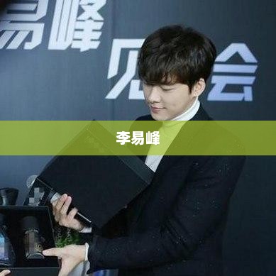 李易峰，优秀演员的生涯与魅力揭秘