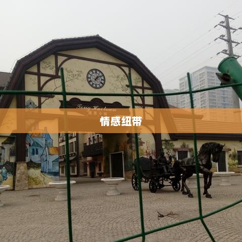 闪耀的项链，情感与记忆的纽带