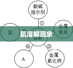 肌溶解现象，成因、影响及防治策略全解析