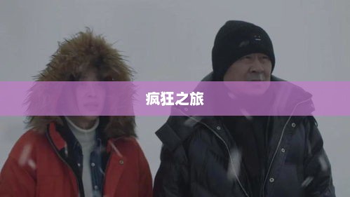 小保姆的疯狂之旅