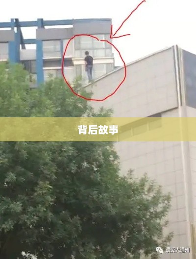 北京悲剧性跳楼事件背后的故事