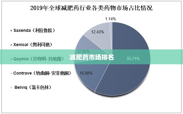 减肥药市场排名与深度解析报告