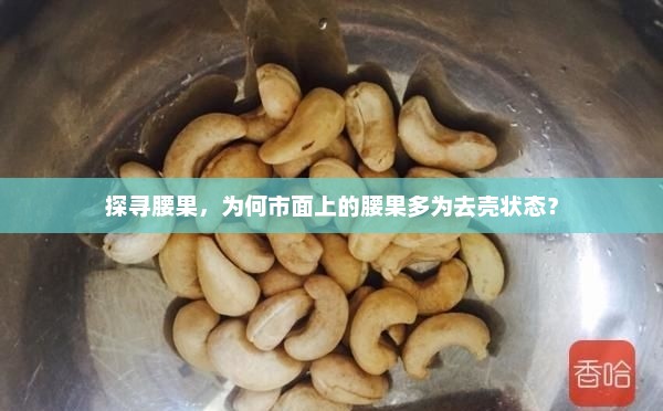 探寻腰果，为何市面上的腰果多为去壳状态？