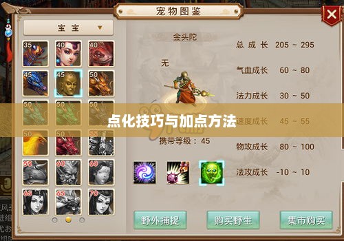 问道手游角色实力提升攻略，点化技巧与正确加点方法