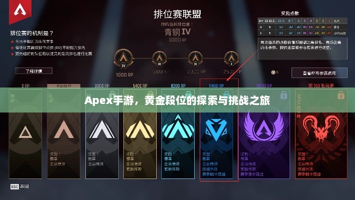 Apex手游，黄金段位的探索与挑战之旅