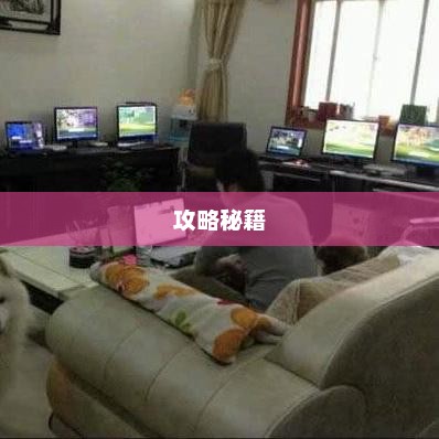 手游DNF的赚钱策略与攻略秘籍