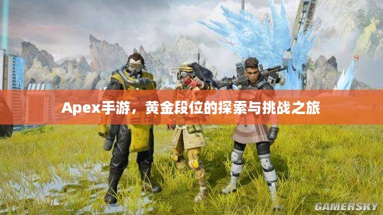 Apex手游，黄金段位的探索与挑战之旅