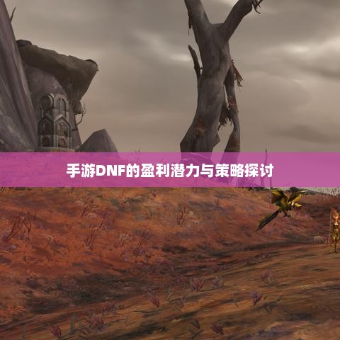 手游DNF的盈利潜力与策略探讨