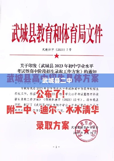 武城县二中录取分数线详解