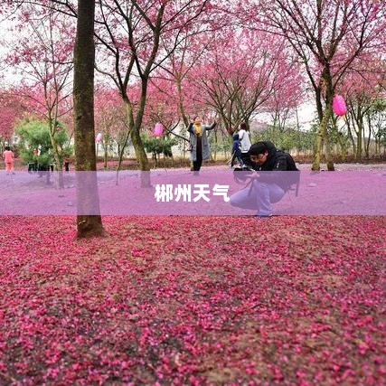 郴州2021年9月天气深度解析报告