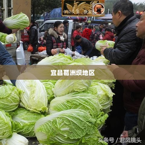 宜昌葛洲坝地区未来15天天气预测概览