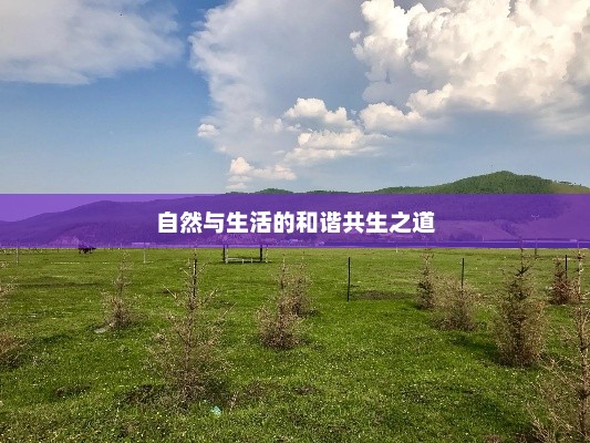 额尔古纳天气预报，探索自然与生活和谐共生之道