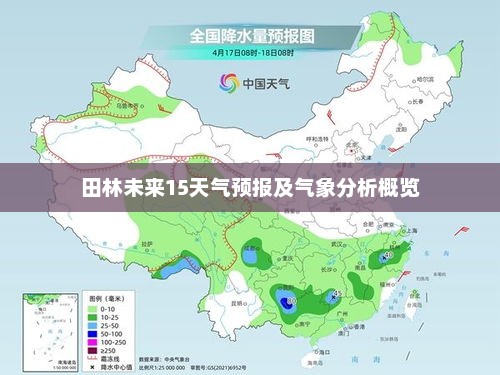 田林未来15天气预报及气象分析概览