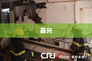 嘉兴昨日事件概览