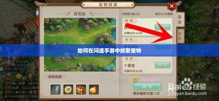 问道手游，宠物捕捉技巧全解析