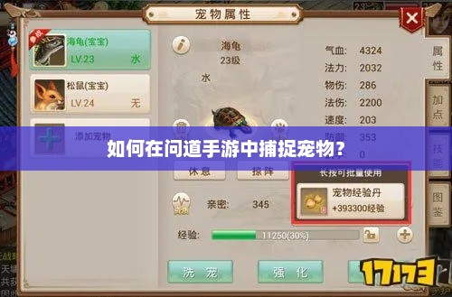 问道手游宠物捕捉全攻略