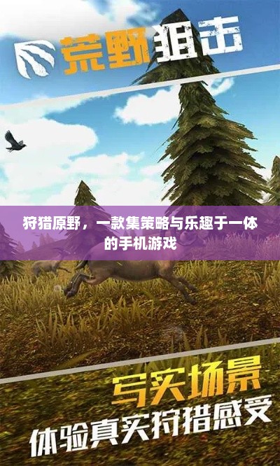 狩猎原野，策略与乐趣并存的手机游戏体验