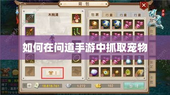 问道手游宠物捕捉技巧全解析