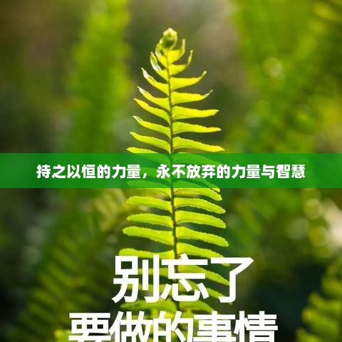 持之以恒与永不放弃，成就卓越的智慧与力量