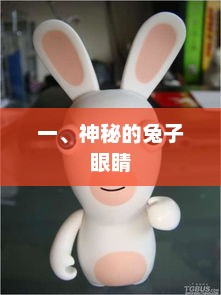 揭秘，为何兔子的眼睛看起来如此神秘？