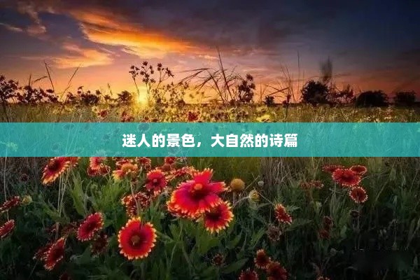 探秘自然之美，一次醉人心弦的旅行体验