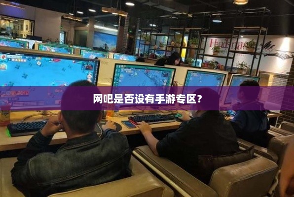 网吧手游专区的设施配置调查，是否配备专属游戏区域？