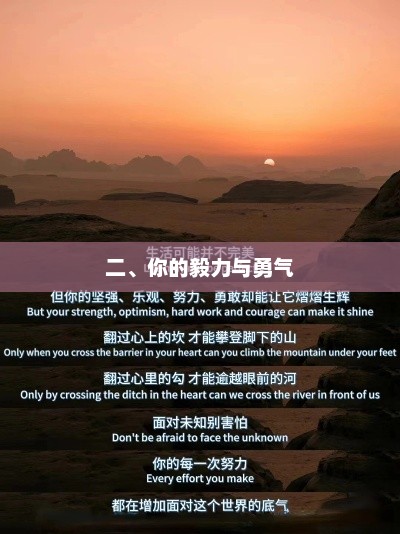 超越自我，我的坚持与成功之路