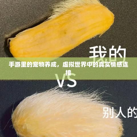 虚拟世界中的宠物养成，手游的情感纽带探索