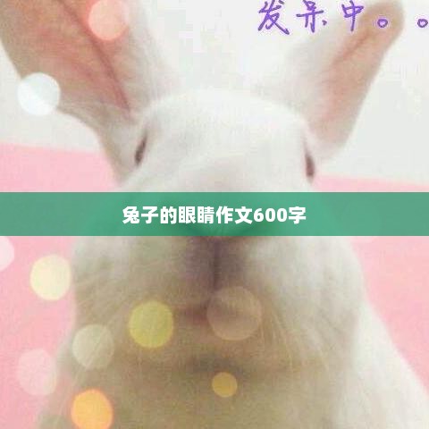 兔子的眼睛作文600字
