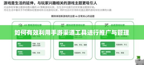 手游渠道工具的优化与管理策略探讨