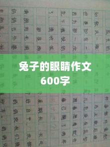 兔子眼睛的魅力，一幅生动的视觉画卷