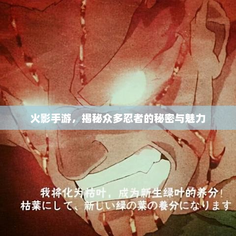 火影手游，揭秘忍者世界奥秘