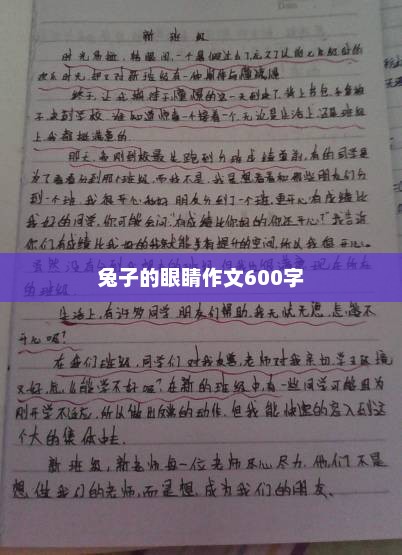 兔子的眼睛，一幅生动的画面