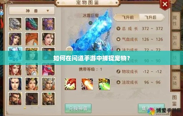 宠物捕捉秘籍，问道手游宠物养成全攻略