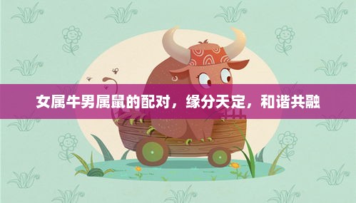 女属牛男属鼠的配对，缘分天定，和谐共融